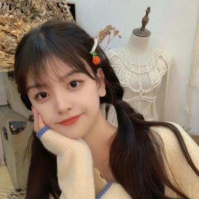 父子神探之燕子窠迷案